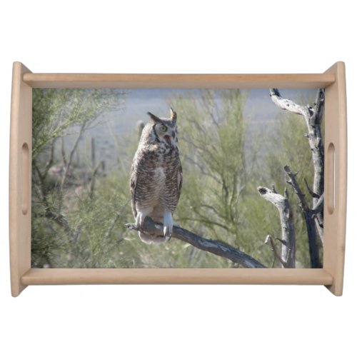 Great Horned Owl Serving Tray