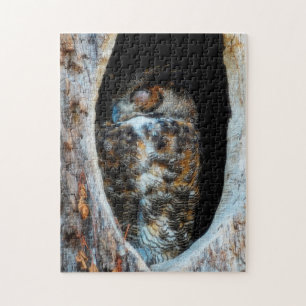 Great Horned Owl Sleeping In A Tree Hollow Jigsaw Puzzle