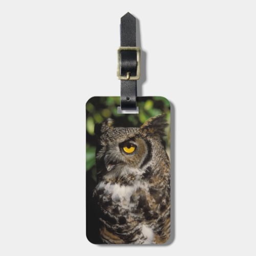 great horned owl Stix varia in the Anchorage Luggage Tag