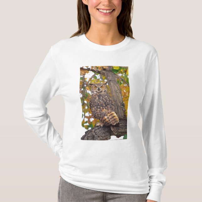 Great Horned Owl T-Shirt (Front)