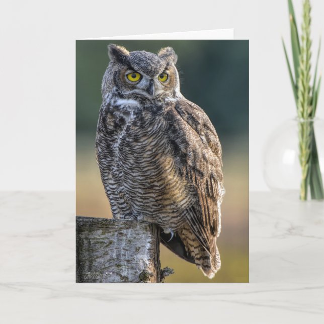 Great Horned Owl Thank You Card (Front)