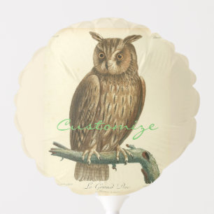 Great Horned Owl Thunder_Cove Balloon