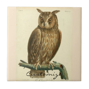 Great Horned Owl Thunder_Cove Ceramic Tile