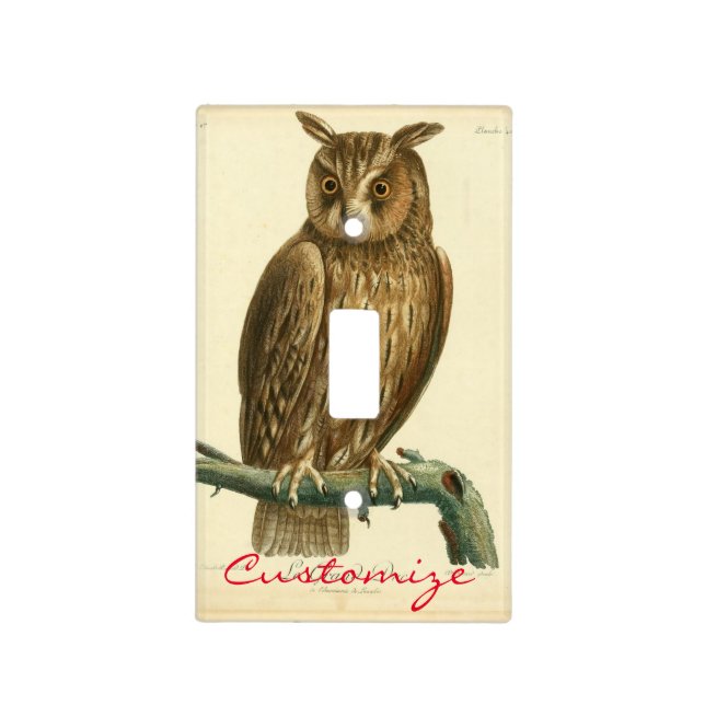 Great Horned Owl Thunder_Cove Light Switch Cover (Front)