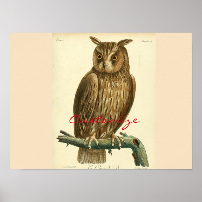 Great Horned Owl Thunder_Cove Poster (Front)