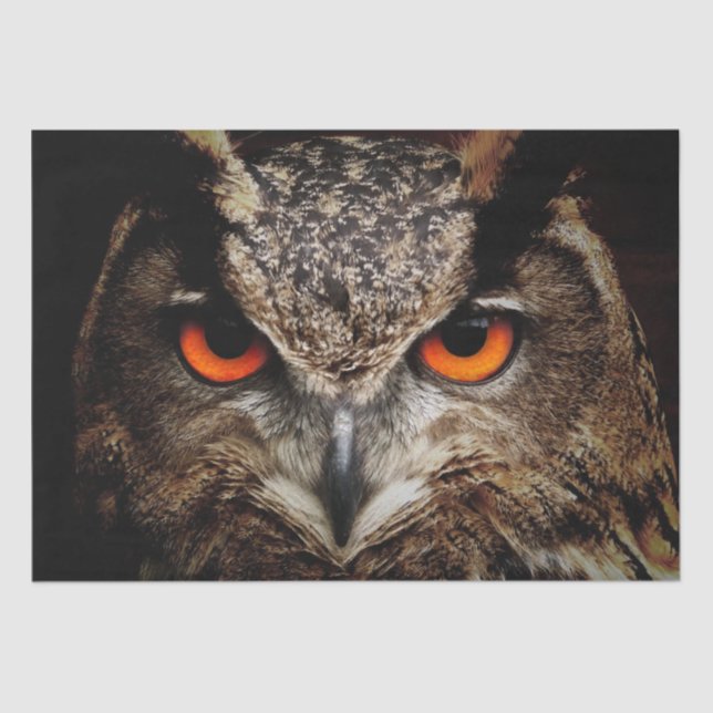 great horned owl tissue paper (Front)