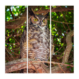 Great Horned Owl Triptych Wildlife Bird Art