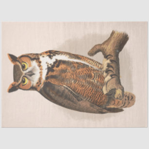 Great Horned Owl Vintage Antique Bird Decoupage Tissue Paper