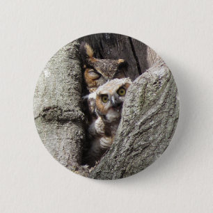 Great Horned Owl with newborn Button
