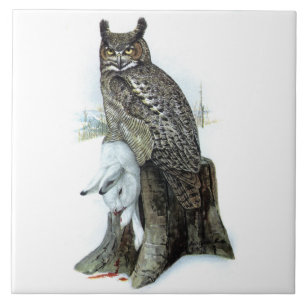 Great Horned Owl with snow hare rabbit Painting Ceramic Tile