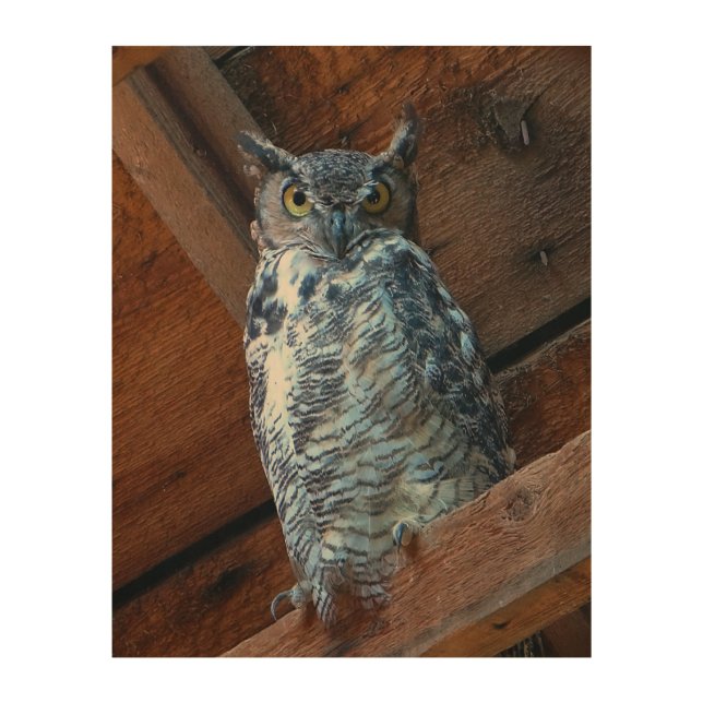Great Horned Owl Wood Panel (Front)