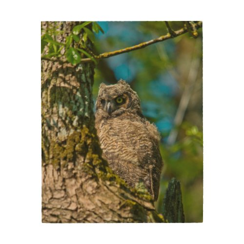 Great Horned Owl Wood Wall Decor