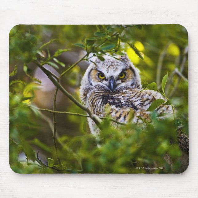 Great Horned Owlet Mouse Pad (Front)
