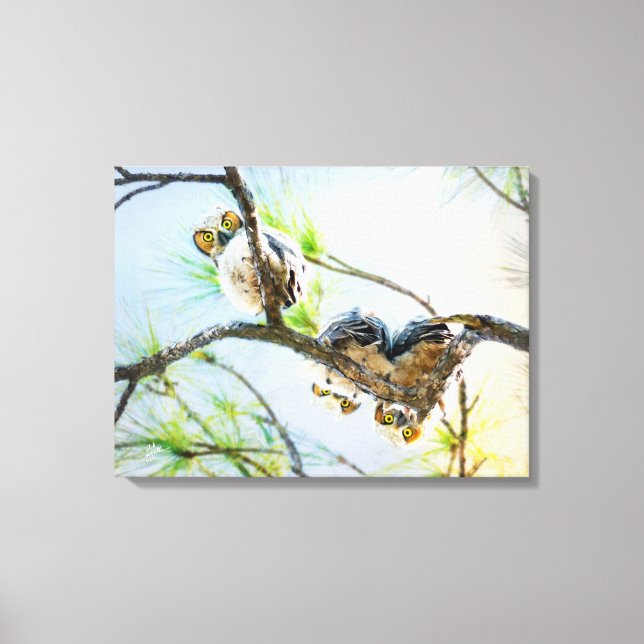 Great Horned Owlets Looking From Branch Fine Art Canvas Print (Front)