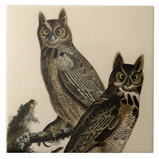 Great Horned Owls (by John James Audubon) Ceramic Tile (Front)
