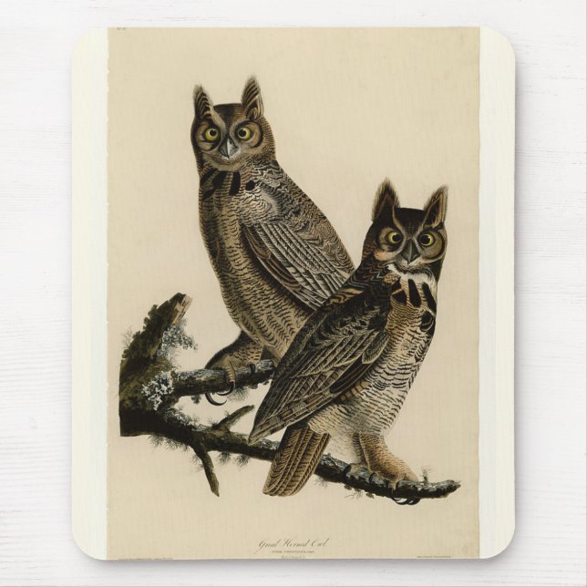 Great Horned Owls (by John James Audubon) Mouse Pad (Front)