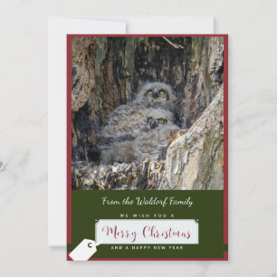 Great Horned Owls Christmas Card