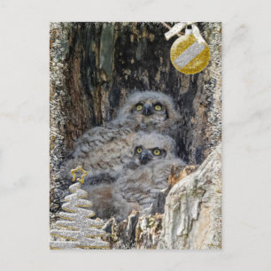 Great Horned Owls Christmas Card