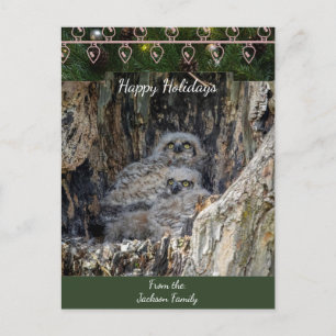 Great Horned Owls Christmas Card