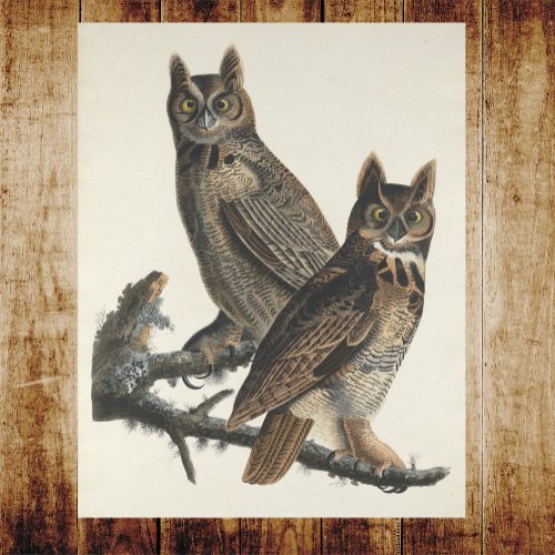 Great Horned Owls Spooky Vintage Illustration Poster