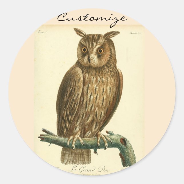 Great Horned OwlThunder_Cove Classic Round Sticker (Front)