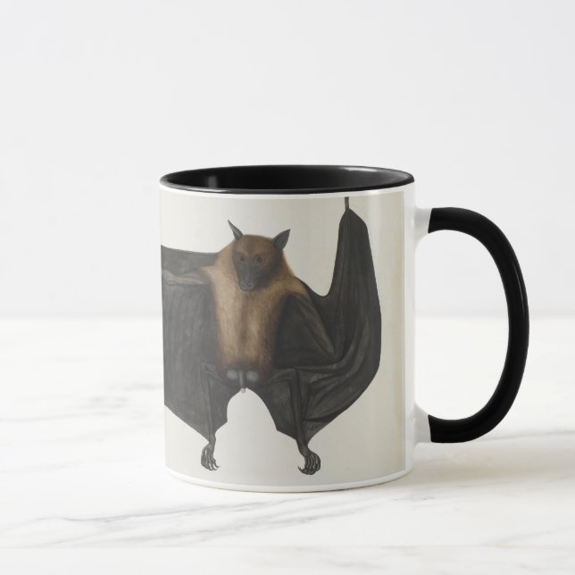 Great Indian Fruit Bat, c.1777-82 Mug (Right)