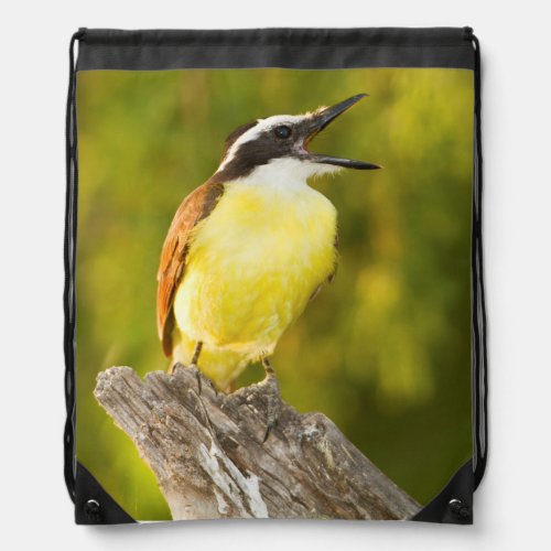 Great Kiskadee calling from perch Drawstring Bag