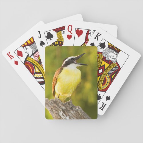 Great Kiskadee calling from perch Poker Cards