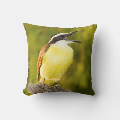 Great Kiskadee calling from perch Throw Pillow