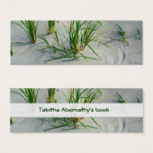 Great Lakes Beach (Front & Back)