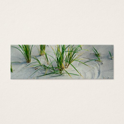 Customizable Great Lakes Beach Business Card