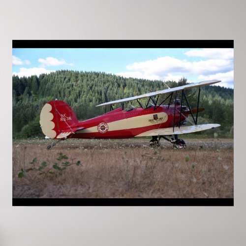 Great Lakes biplane replica_Classic Aviation Poster