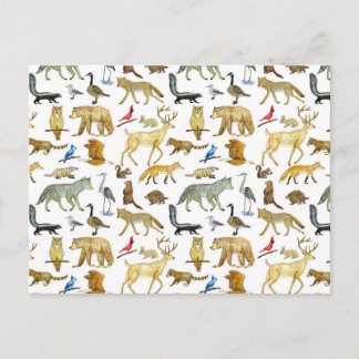 Great Lakes Wildlife Postcard