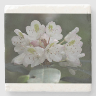 Great Laurel Stone Coaster