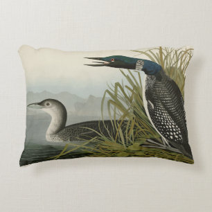 Great Northern Diver Loon Audubon Birds of America Accent Pillow
