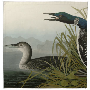 Great Northern Diver Loon Audubon Birds of America Cloth Napkin