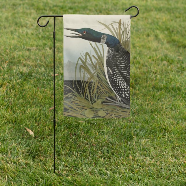 Great Northern Diver Loon Audubon Birds of America Garden Flag (In SItu)