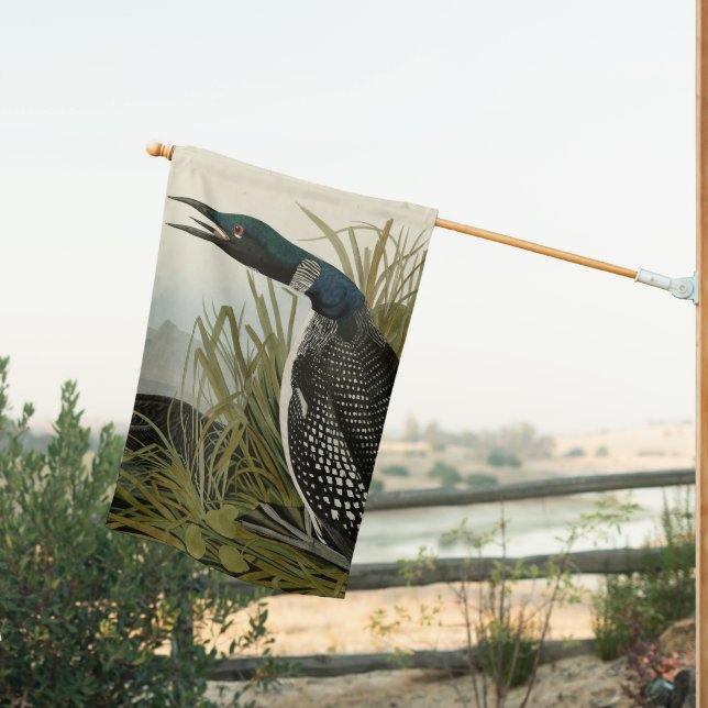 Great Northern Diver Loon Audubon Birds of America House Flag (Insitu (Back))