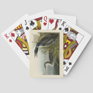 Great Northern Diver Loon Audubon Birds of America Poker Cards
