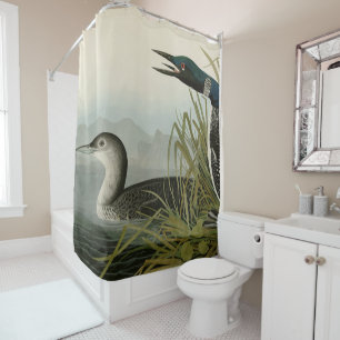 Great Northern Diver Loon Audubon Birds of America Shower Curtain