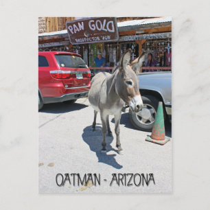 Great Oatman Postcard! Postcard