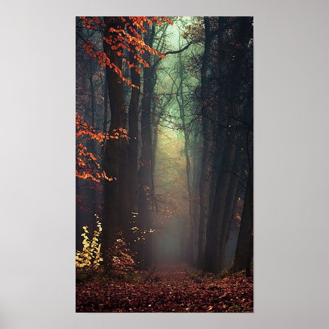 Great Poster of Nature (Front)