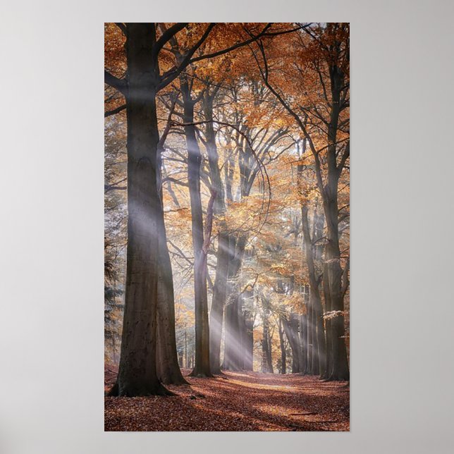 Great Poster of Nature (Front)