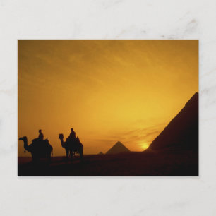 Great Pyramids of Giza, Egypt at sunset Postcard