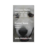 great-pyrenees-20.jpg business card