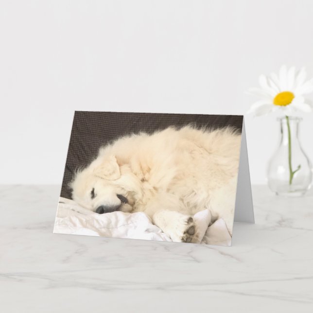 Great Pyrenees Blank Card (Small Plant)