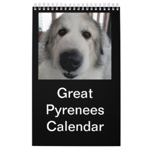 Great Pyrenees Calendar