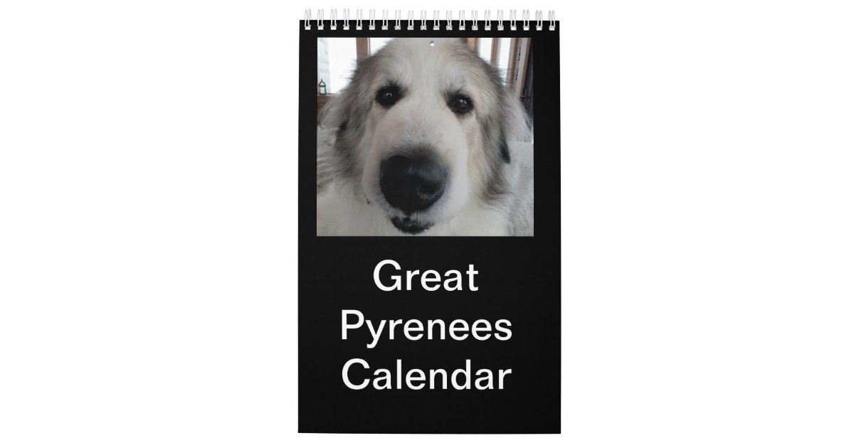 Great Pyrenees Calendar Zazzle