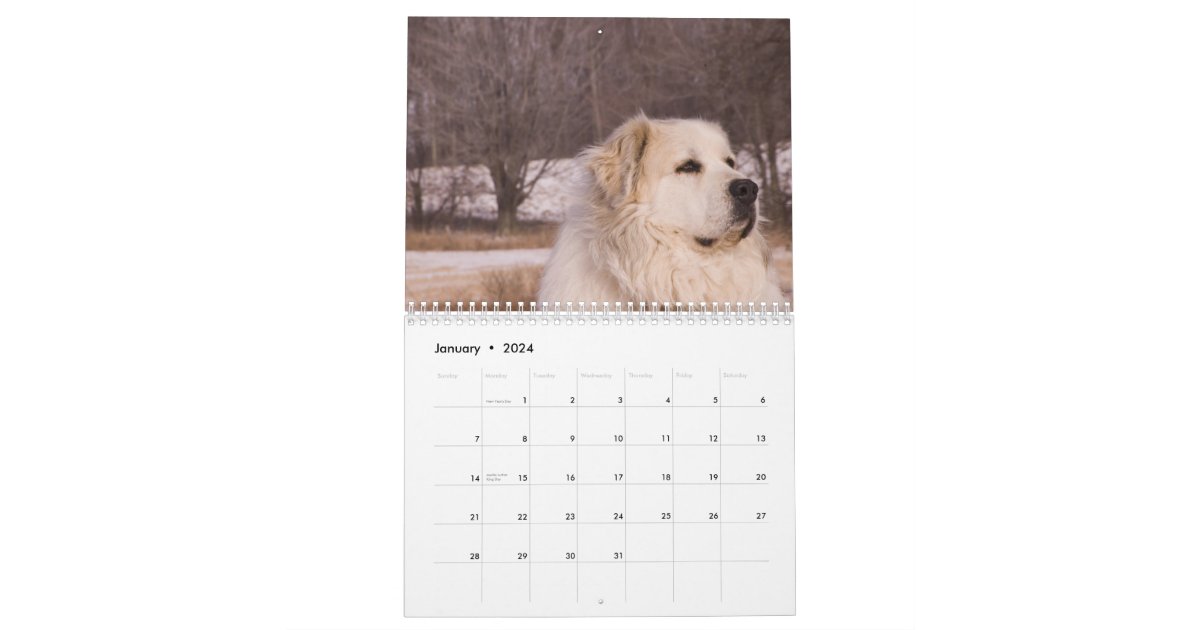 Great Pyrenees Calendar Zazzle