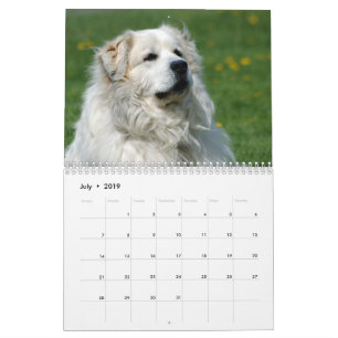 Great Pyrenees Calendar